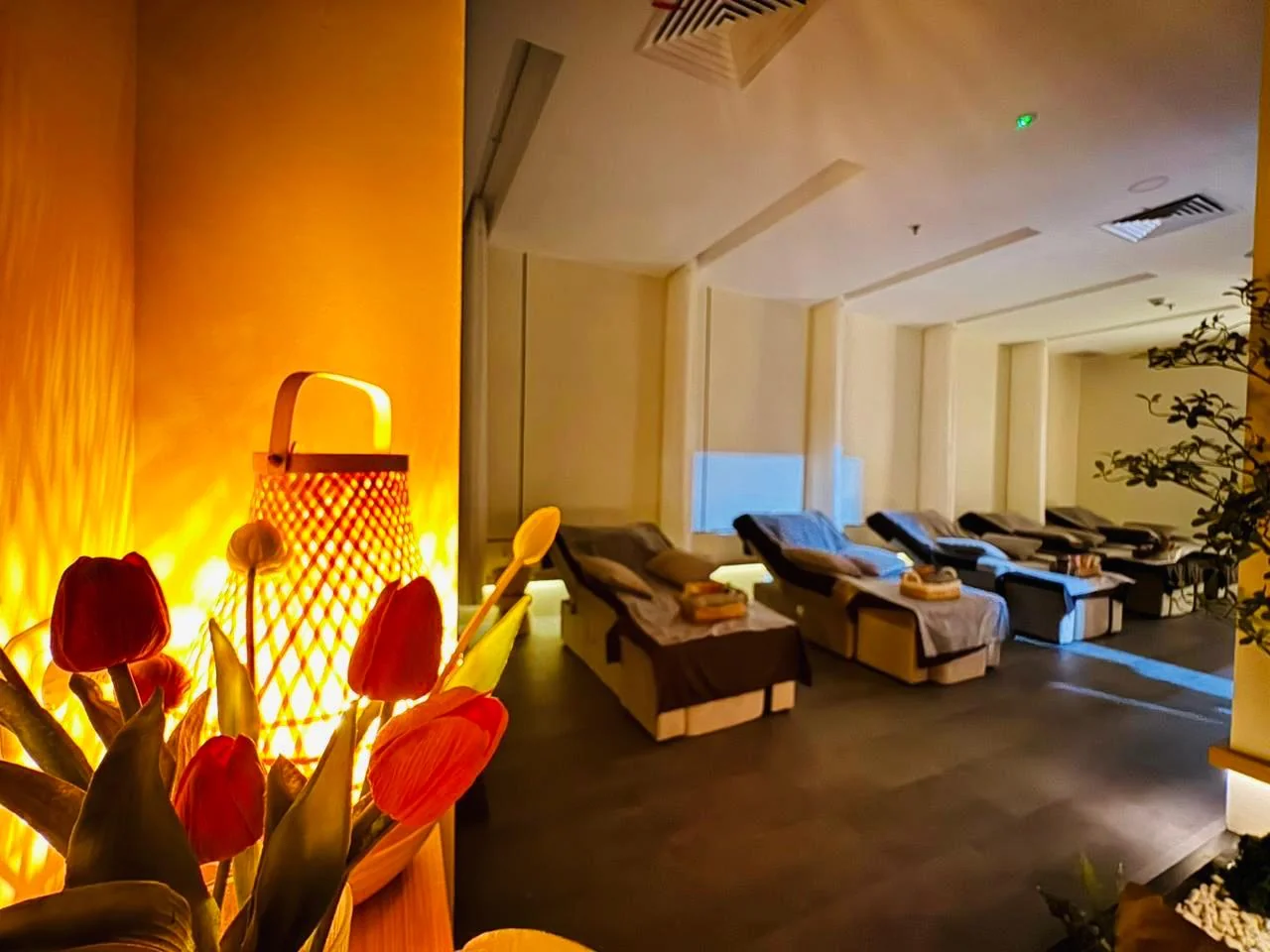 Yang Shen Tang Tempat Recharge Untuk Keluarga - Hublife Taman Anggrek Yang Shen Tang Tempat Recharge Untuk Keluarga - Hublife Taman Anggrek